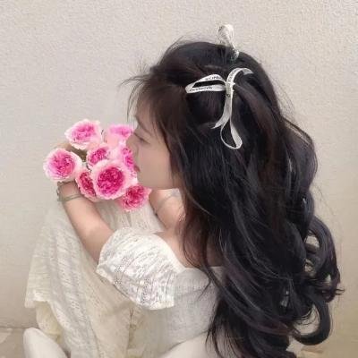 鳄鱼藏尸日记